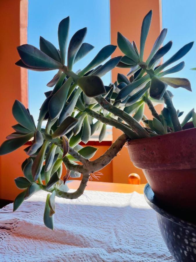 Апартаменты Casa Di Rosy San Sperate Экстерьер фото